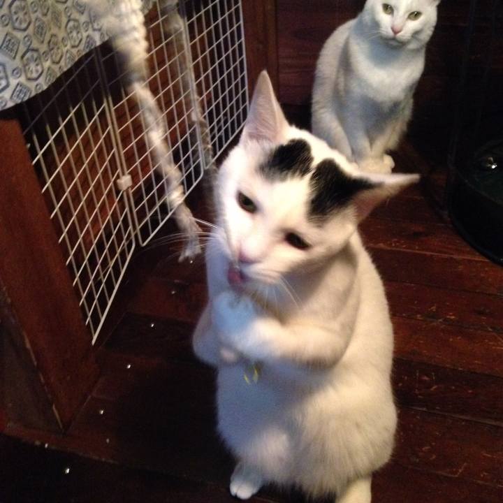 73c0631c 9116 4735 8d2c d1639e669661