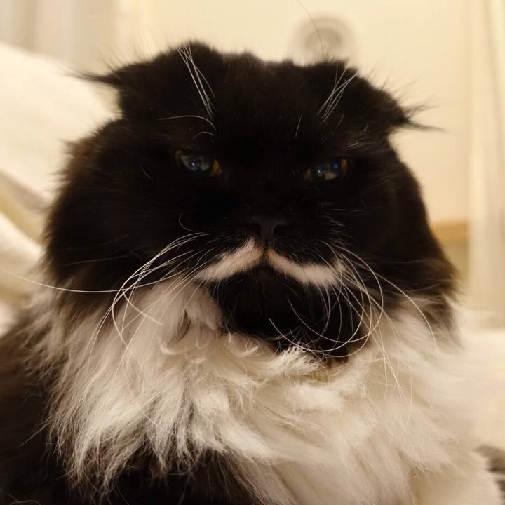 73c06c6e bf2d 4c08 baf3 47f96ca69497