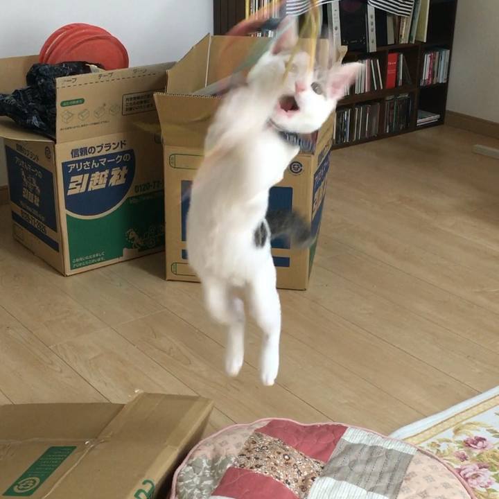 73c077ab e576 427e a01f a0d3c1548f34