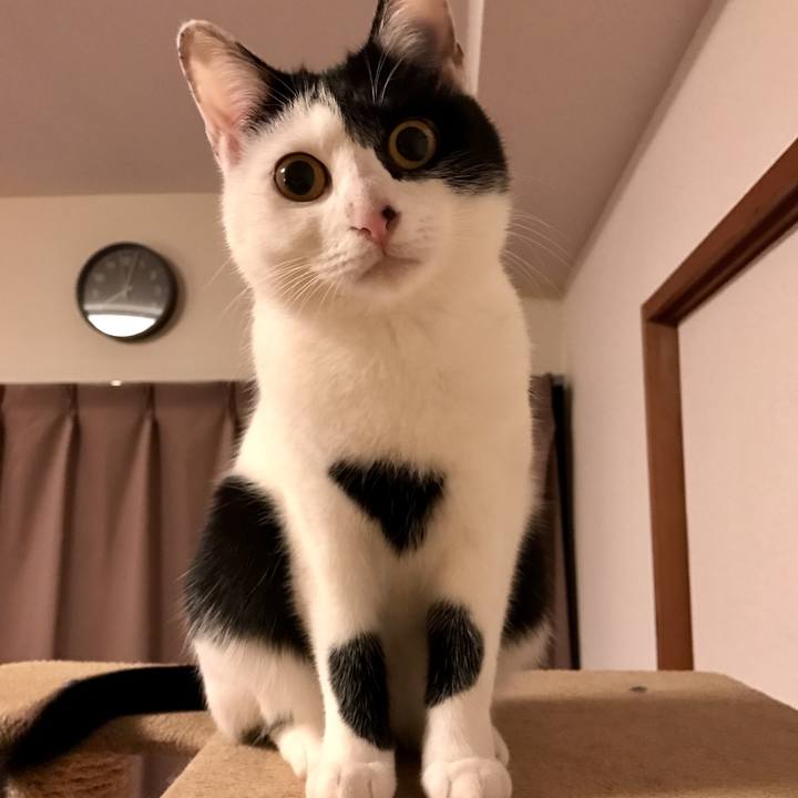 73c16d6d 6699 4ecd acae 7783b1539bdd