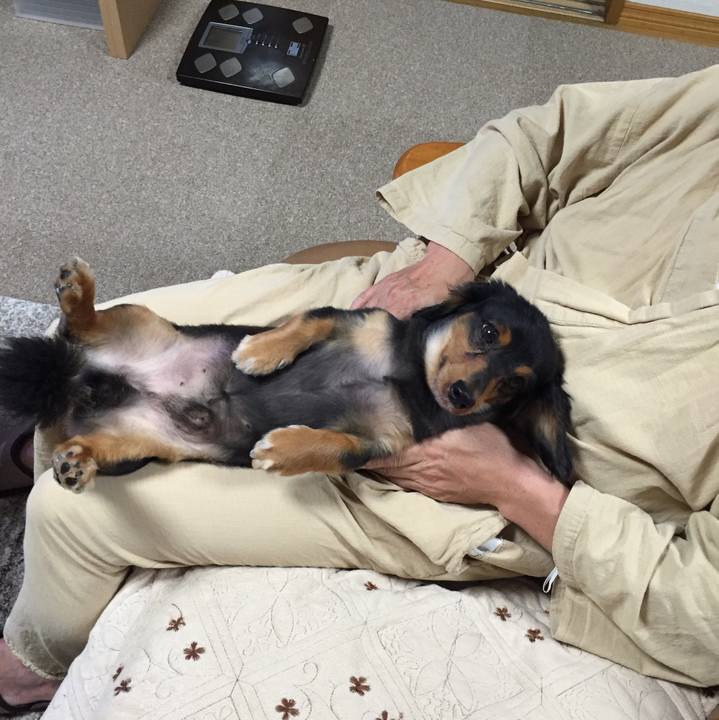 73c18c30 89d6 4f92 9cc4 115456b0e3a5