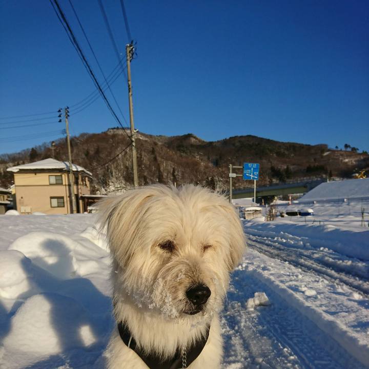 73c27123 7d84 4a4b ad6e abf7a0494627