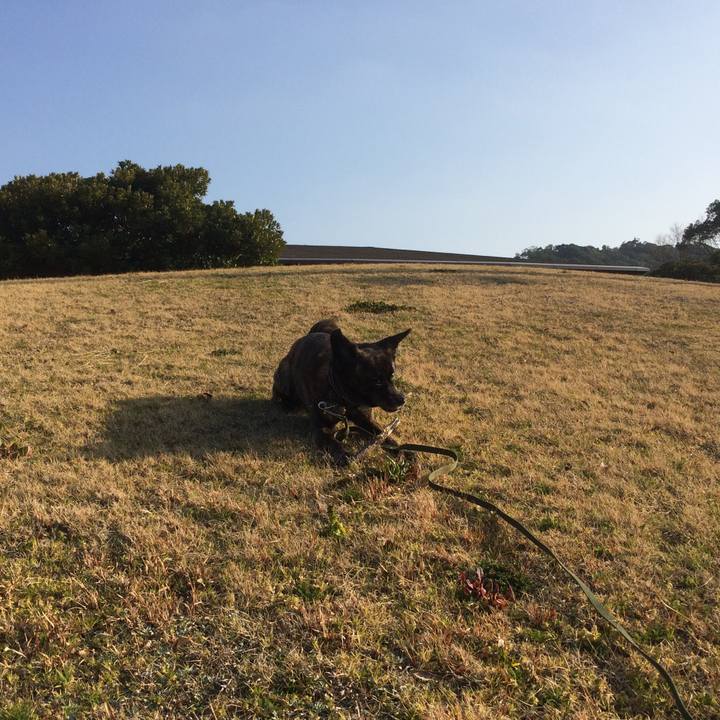 73c28d66 178c 4568 9d92 09d621c94f03