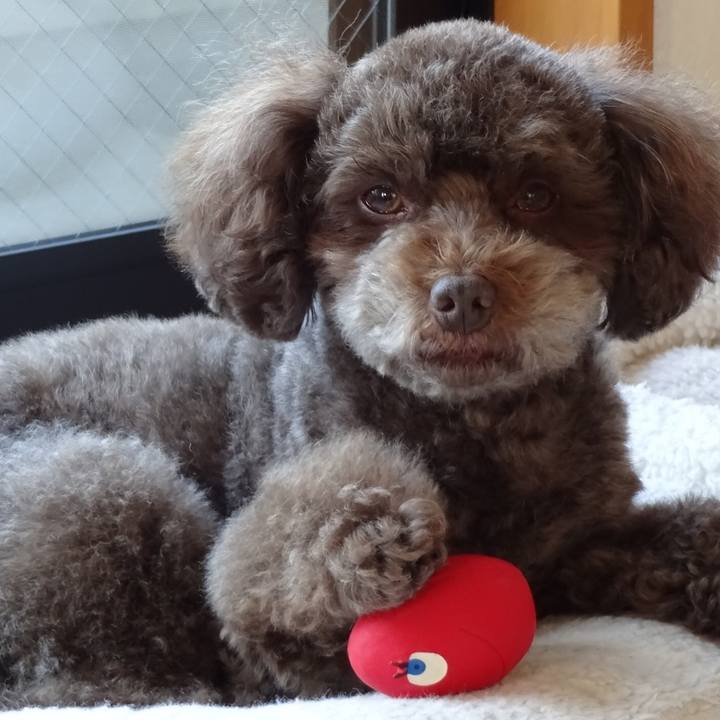 73c34462 0292 4b6a 819a a046dc98a9aa