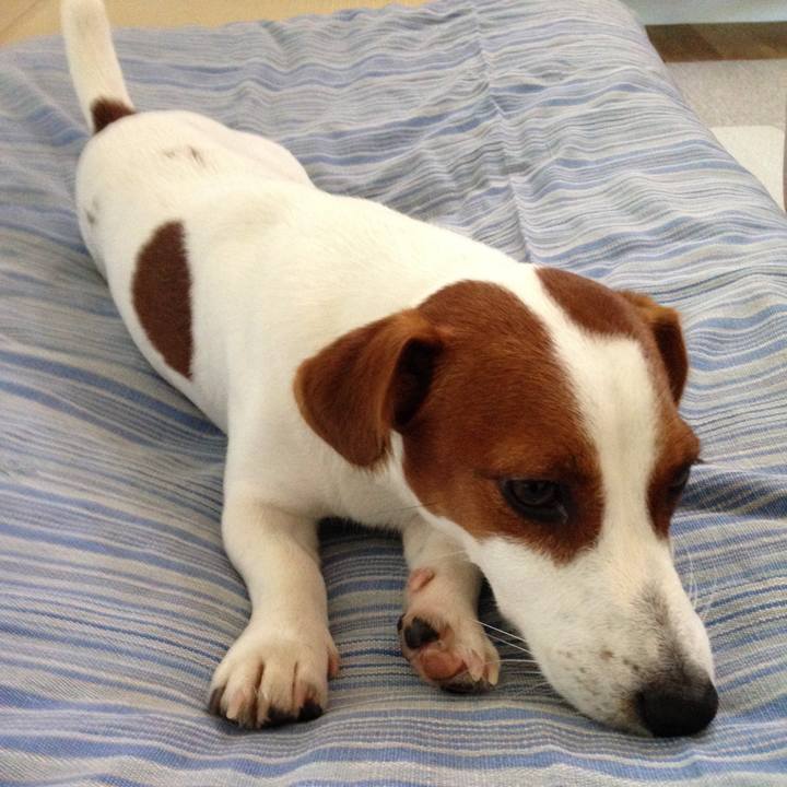 73c3a20b 06d7 418f a887 b4cb5b94103c