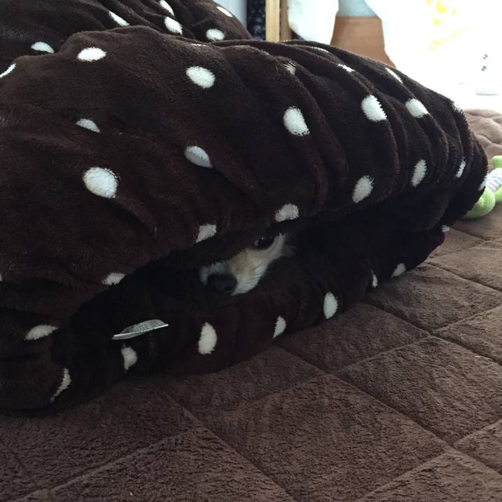 73c3f302 468d 4710 97e3 daface7d4beb