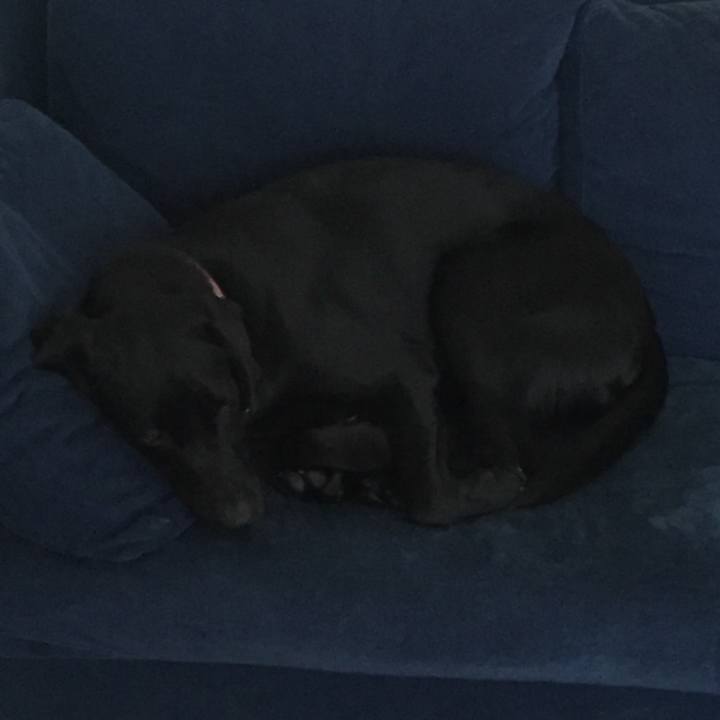 73c48b99 ea7c 4a9e 810e 2be5d6d158f8