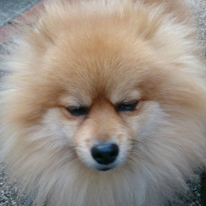 73c50383 dbaf 4f5f 9b4f d4e375fcfec5