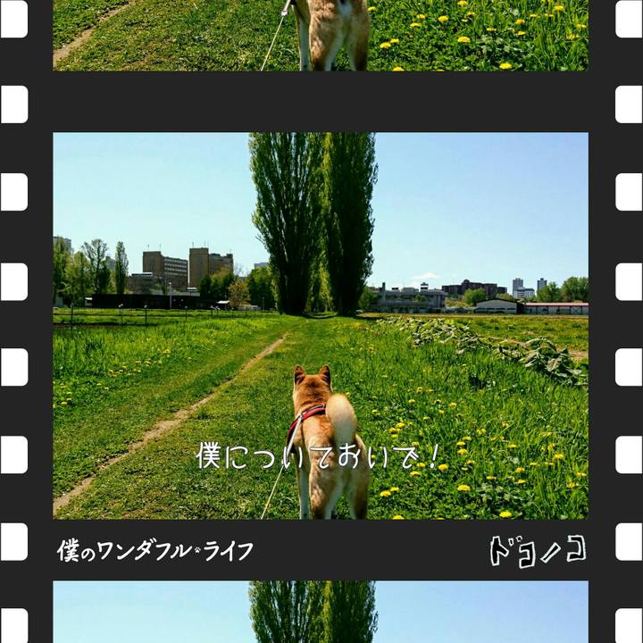 73c50550 2392 4f30 9251 6a7e30fd871e