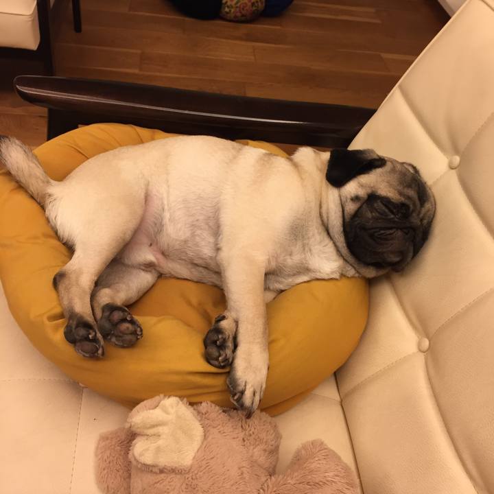 73c52d1a 74df 481d 9b7b 267caeaecac9