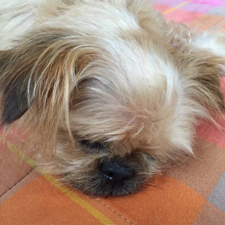 73c53a30 6e82 45a3 9967 ce378af9eccc