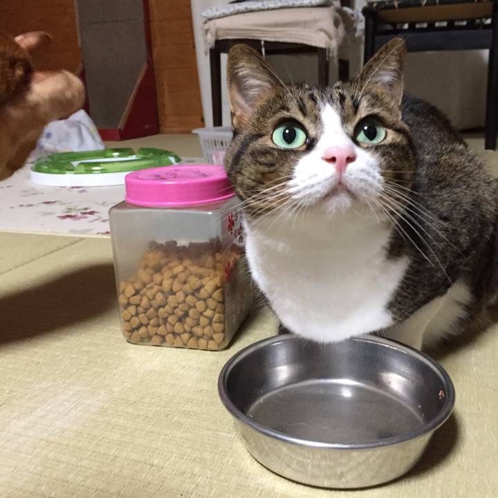 73c546b0 9614 4d99 bd65 8a142c026e45