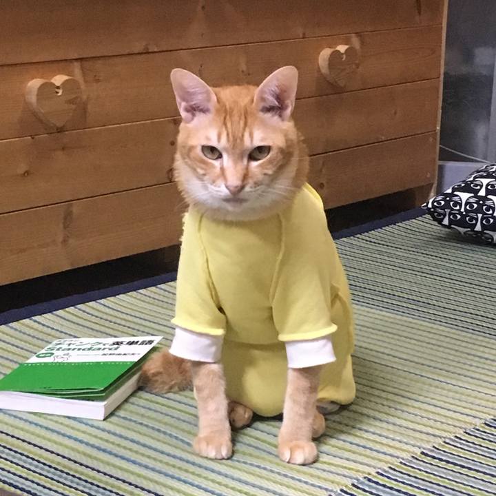 73c5f85b 7841 42dd b57c 4fd11b01a154