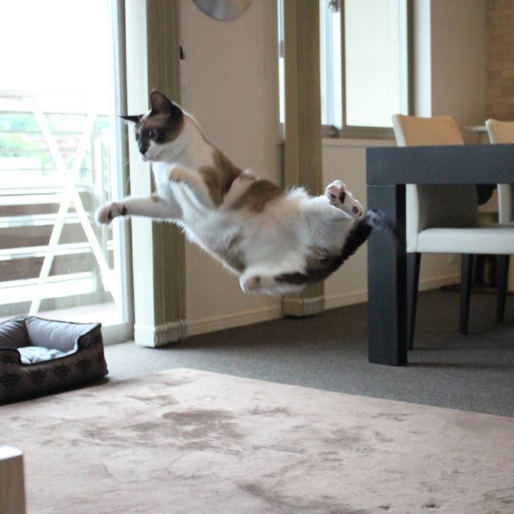 73c65faf df7d 4e95 b899 d5bd988b4a09