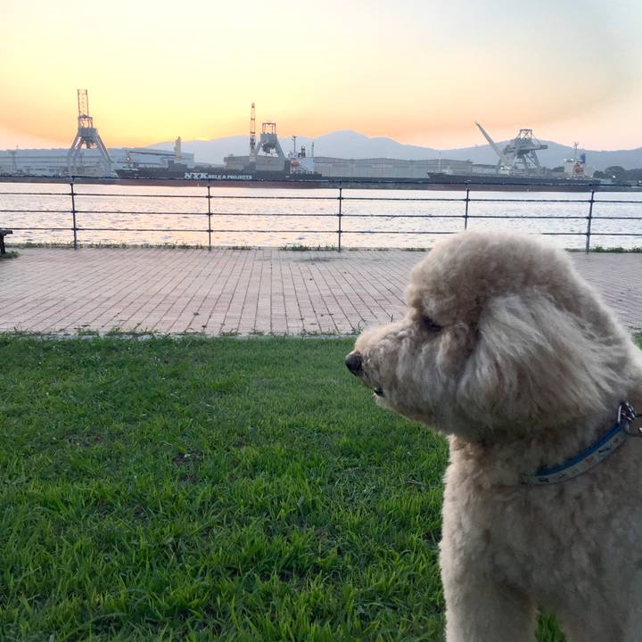 73c67064 7add 4687 bcc3 d9cb5bd3c508