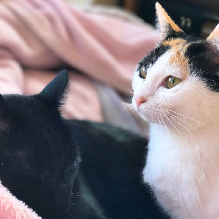 73c6fbad 15d5 4da9 a014 130f9c3289bd