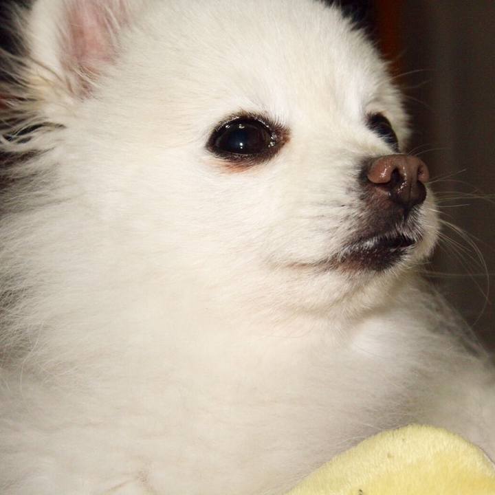 73c7aad8 9ed1 4e4a a73e 4faa9eeaadb5