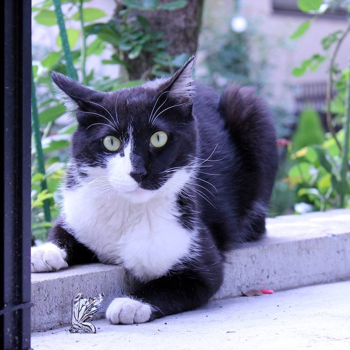 73c81ab7 695b 4ffc af3f 267bcceae3ec