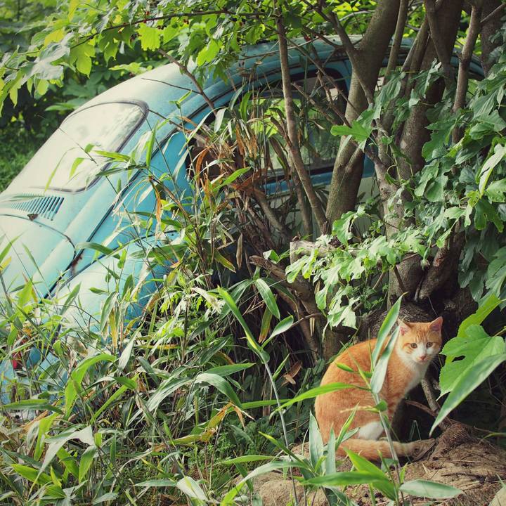 73c8507a edbd 4845 bf4d 117693c8b3f2