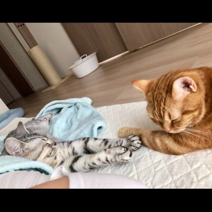 73c89811 8e6b 41f2 8576 1c6874c1d6b8