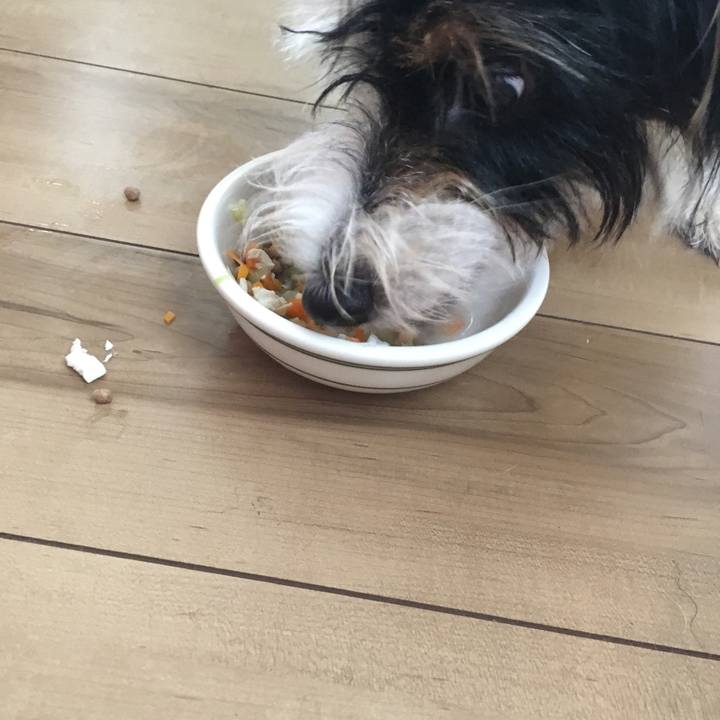 73c9861c 7b68 4ecb 8b6d 19de088848df