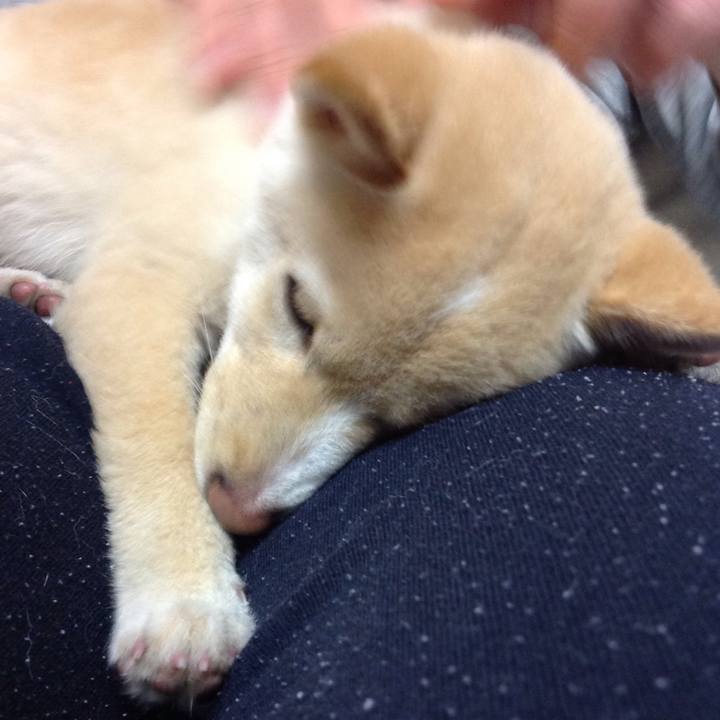 73c9a97b 6057 4528 a2d9 6d5a2142c3e9