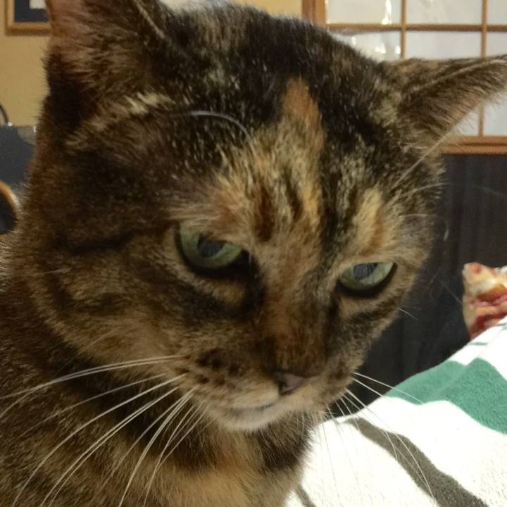 73c9b319 1f20 47bd b41c 4130082a645c