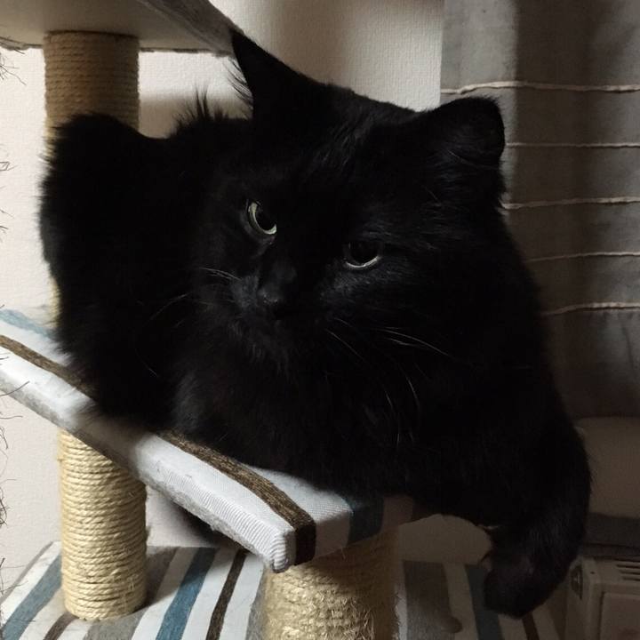 73c9cbed 0a25 4fae a2e3 b91f92bb0bac