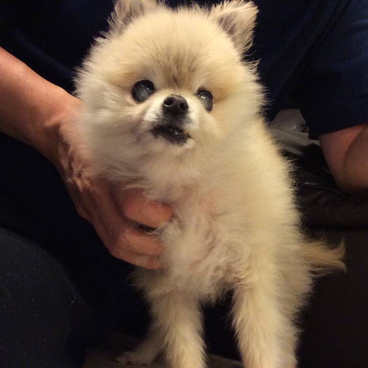 73ca4af6 373a 4e11 9386 01af8158438e