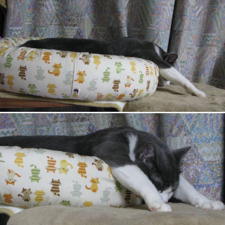 73ca9c04 d00d 4b7c b2dd 84c5f3164d32