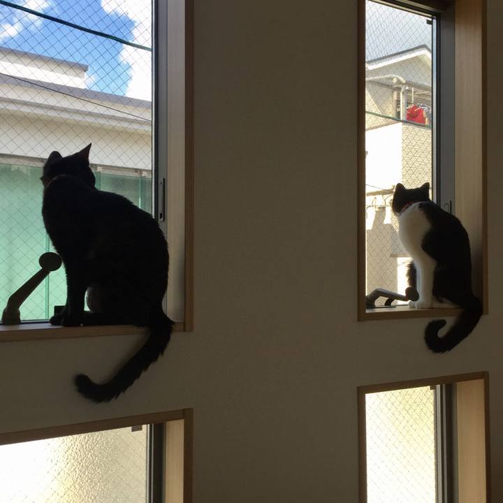 73caf867 5dd4 4671 895d 6b5f8b4ed73e