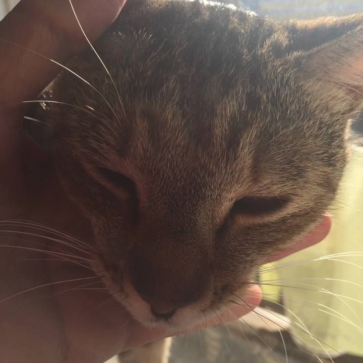 73cb2dfb 06ad 4585 8328 34d5938317d7