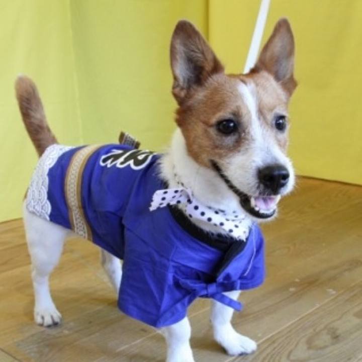 73cb953a 6d55 46a5 94f0 6edf007eb71b