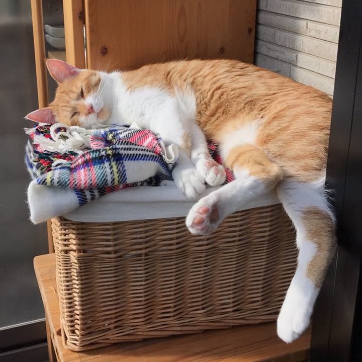 73cbe2b2 8a49 485e 8402 eb2497ebccfa