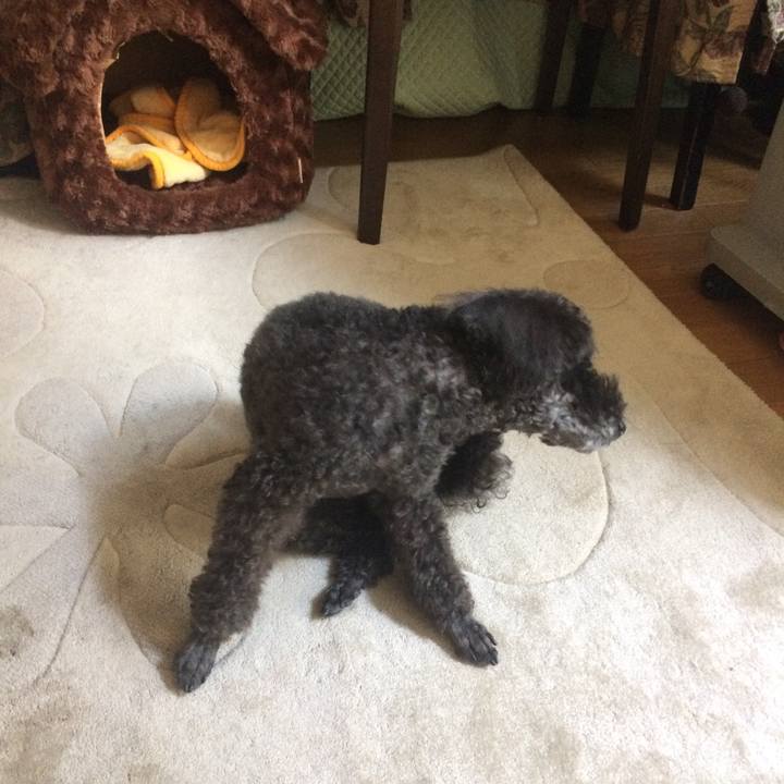 73cbf11c 0e60 4312 b0d0 1f7e36862c84