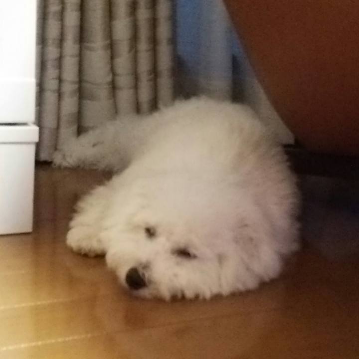 73cc3c73 cd45 455e 99cc 0915af579e93