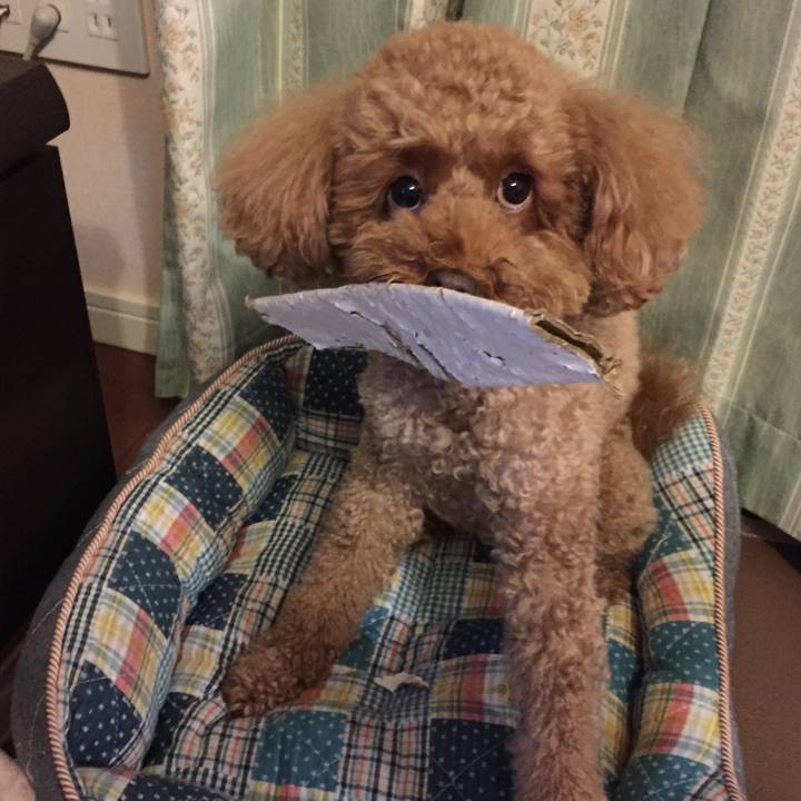 73cc9b1c 9d98 4d61 88ca 8a8e442ca0e6