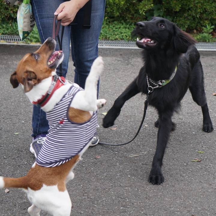 73ccb5a5 106e 4ddc a0f6 ed3aa8240656