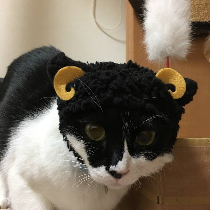 73ccc21d 23c5 4c6f a8e5 07c28dd461d8