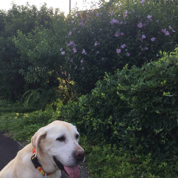 73cd05e0 76ce 45b5 9455 8f53559ce5ac