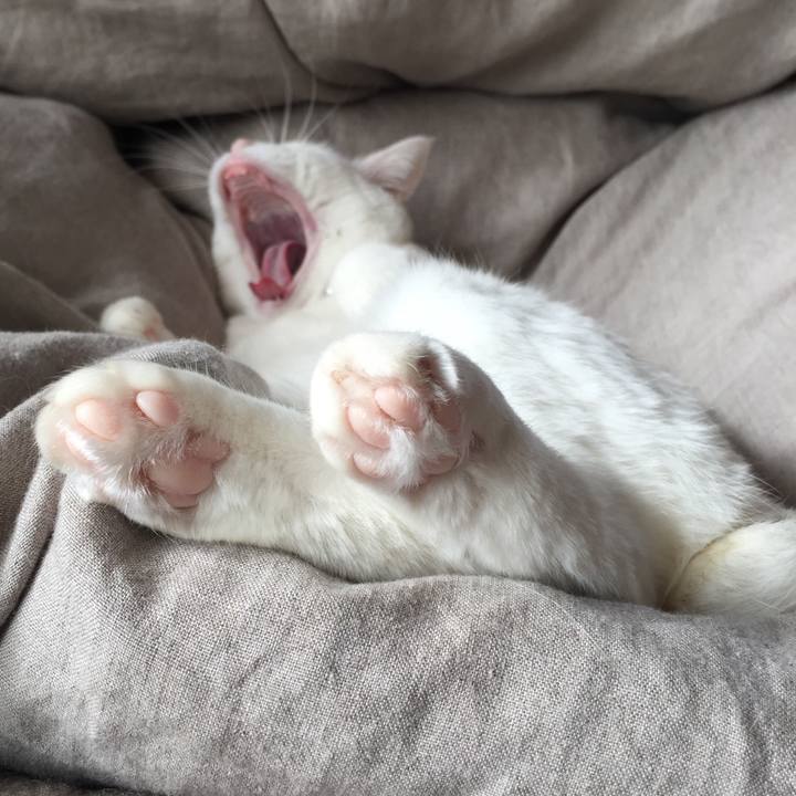 73ce7583 95ad 455b 98cc ee199b8ae6c0