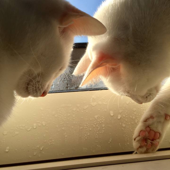 73ced81a eb9d 42d4 a1d5 3e5ebe67e3d9