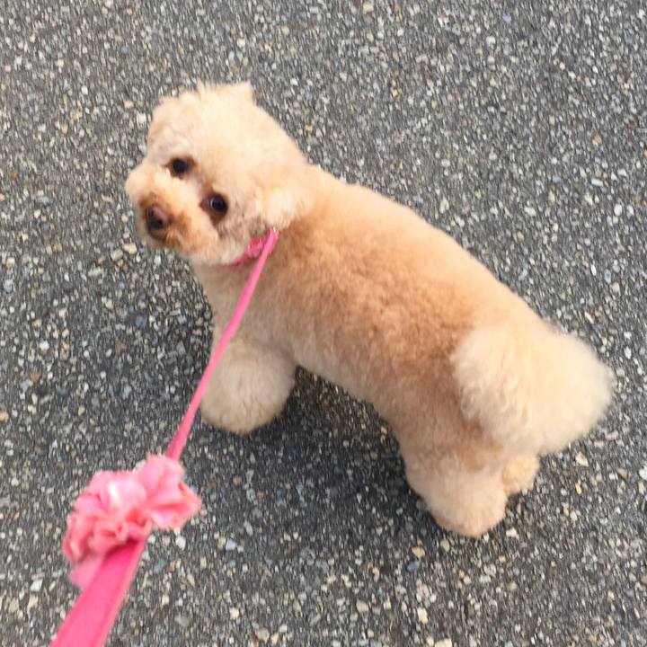 73cf7444 bc9b 455e bde9 1c2e4e9508e0