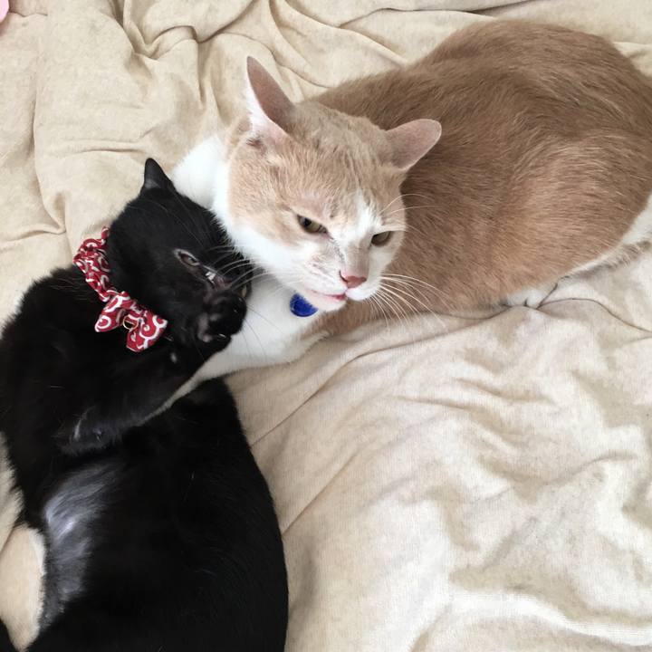 73cfaad3 e104 408b 9edd d95a7aab6f03