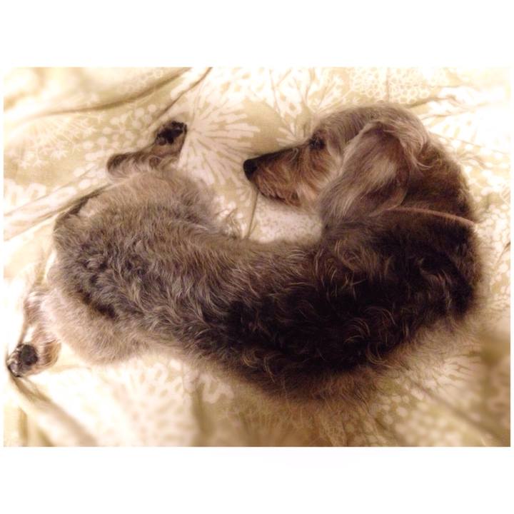 73cfeb90 a685 487c 832c 2578fd4763c1