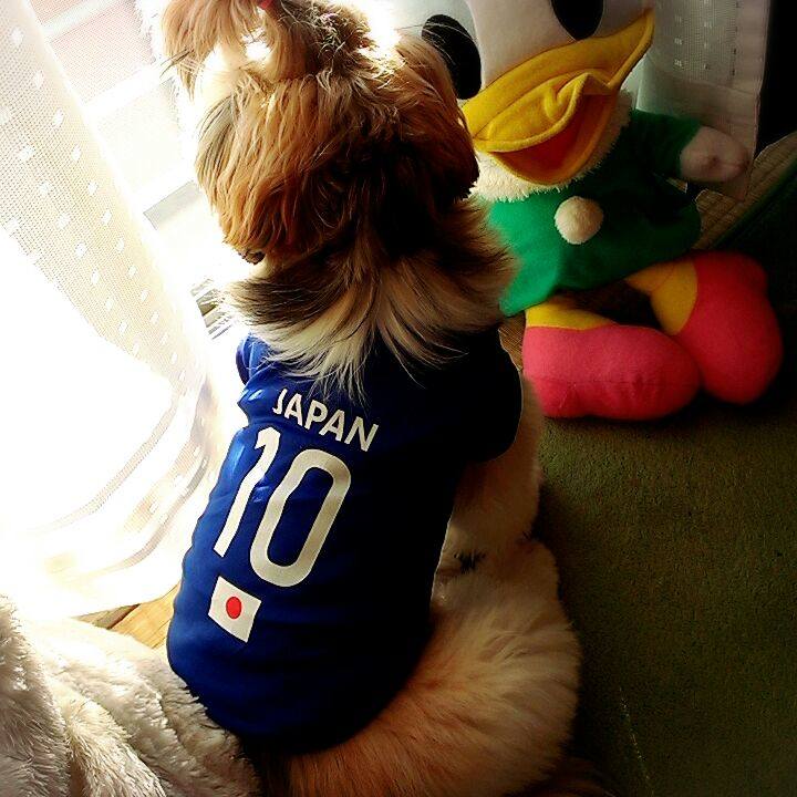 73d094bf 7326 4652 bc5b f7fc64e2f0c0