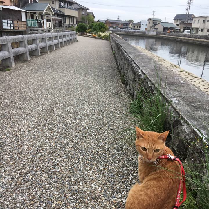 73d1e00b f3c1 4fc9 b856 f818c86d7abe