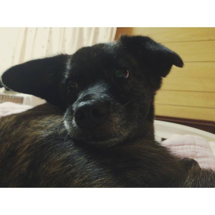 73d34909 d160 4c6d 890e e12aaa7d5fc0