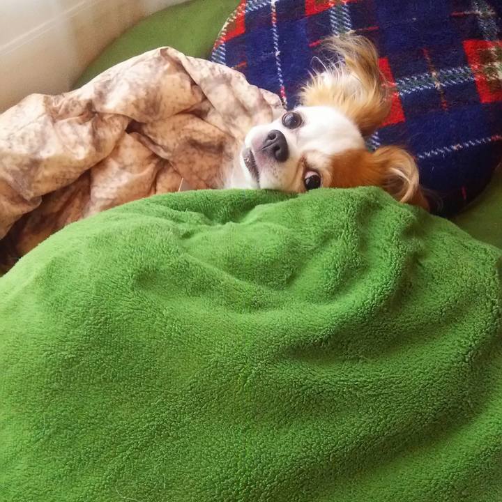 73d37f34 db9e 469c 9150 fe68b8a1240d