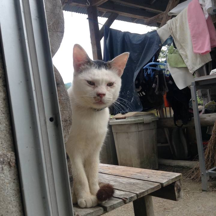 73d3a4ec 9e18 46a1 8689 6b9487d06012